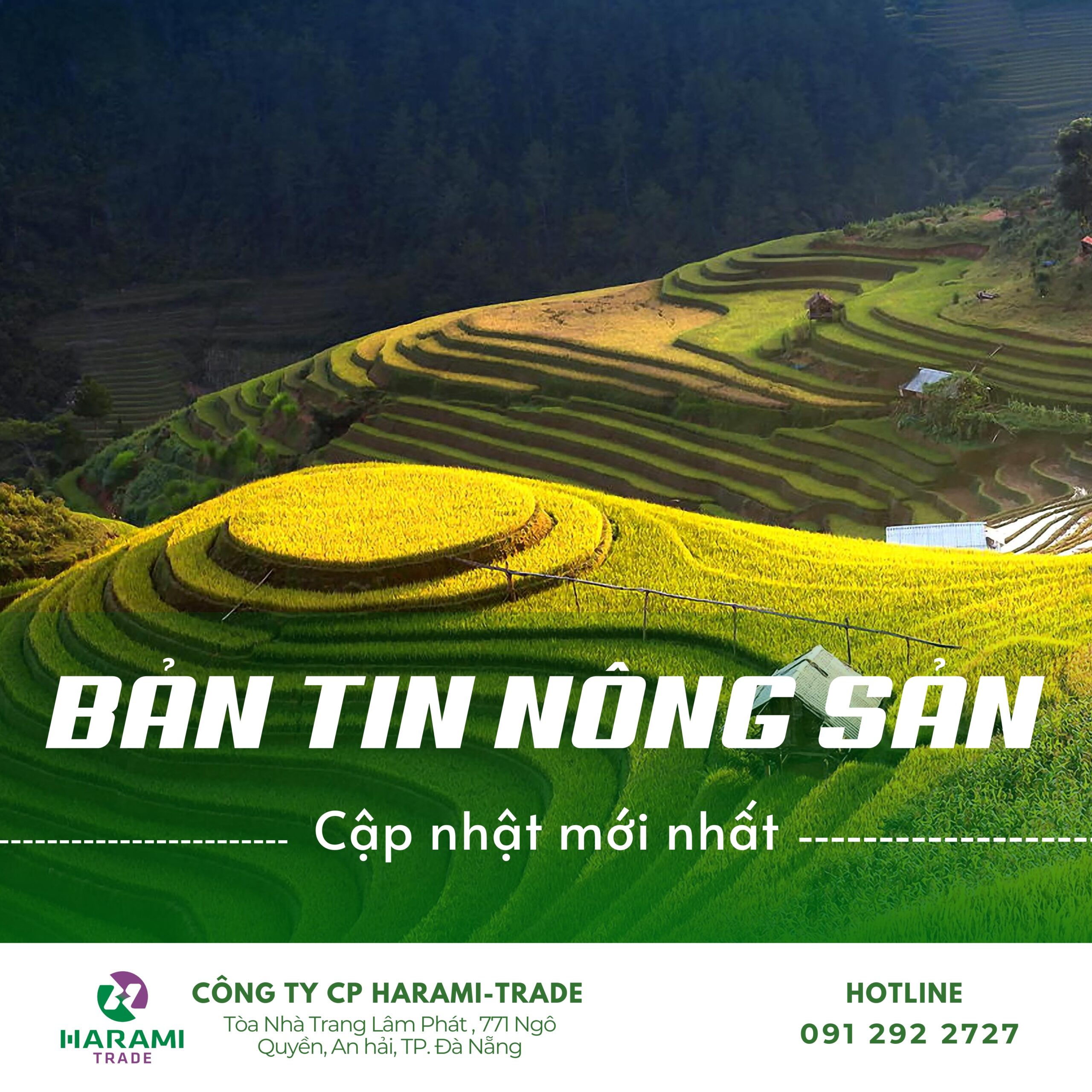BẢN TIN THỊ TRƯỜNG NÔNG SẢN