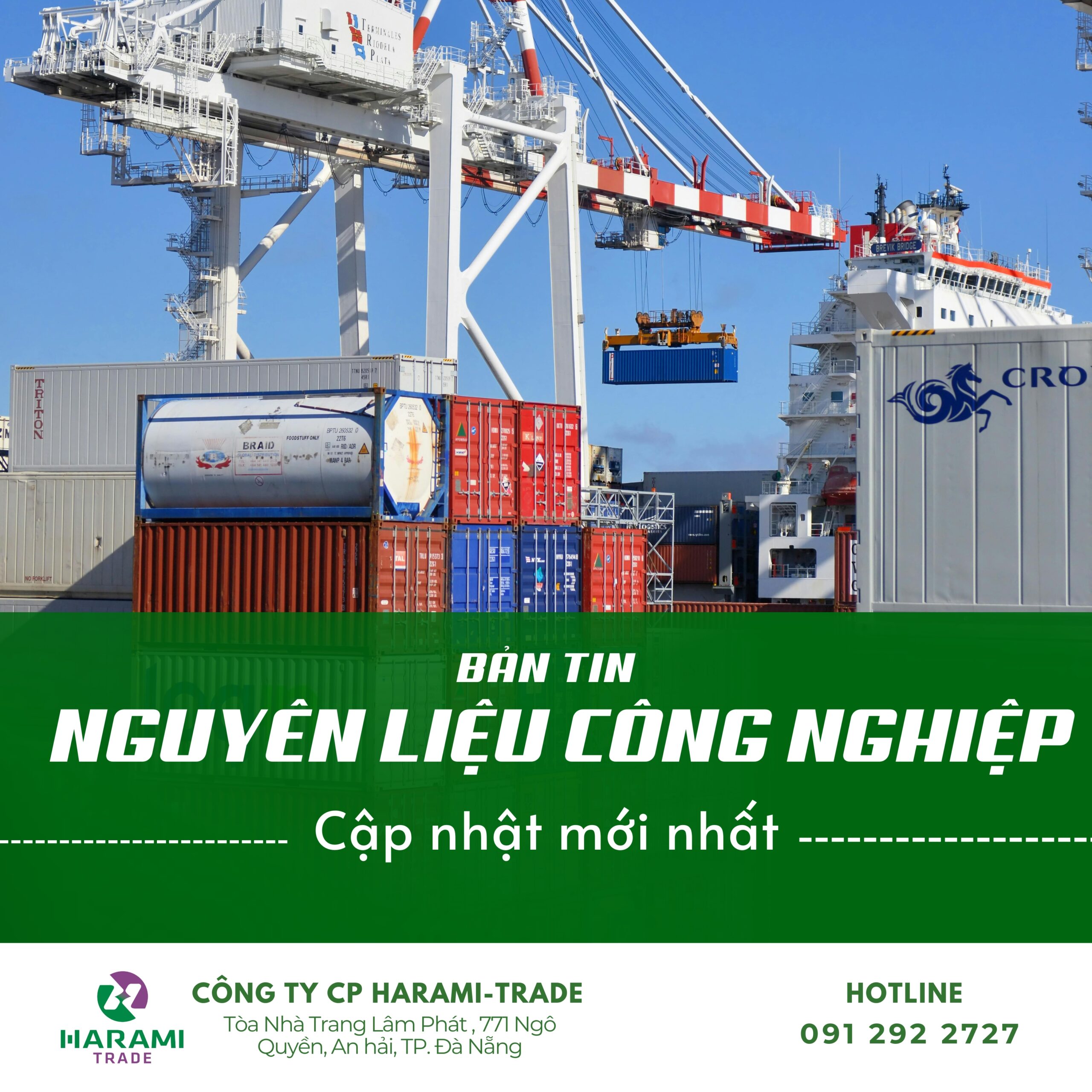 CÀ PHÊ ARABICA GIẢM SÂU TRƯỚC TRIỂN VỌNG THỜI TIẾT KHẢ QUAN