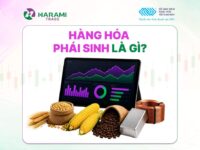 Phái sinh hàng hóa là gì?