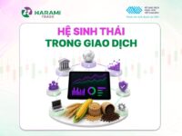Bài 2: Hệ sinh thái giao dịch