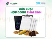 Bài 1: Các loại hợp đồng phái sinh ?