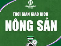 THỜI GIAN GIAO DỊCH NHÓM NÔNG SẢN