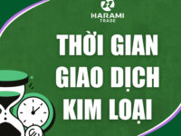 THỜI GIAN GIAO DỊCH NHÓM KIM LOẠI