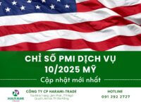 CHỈ SỐ PMI DỊCH VỤ 10/2025 MỸ