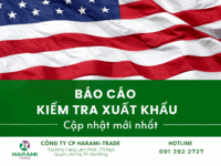 BÁO CÁO KIỂM TRA XUẤT KHẨU TUẦN