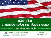 BÁO CÁO ETHANOL TUẦN 14/11/2025 USDA