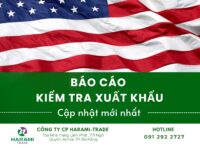 BÁO CÁO KIỂM TRA XUẤT KHẨU