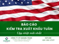 BÁO CÁO KIỂM TRA XUẤT KHẨU TUẦN
