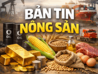 NGÔ ÁP LỰC BÁN THÁO CHỐT LỜI TỪ CÁC QUỸ ĐANG ĐÈ NẶNG KHI HỌ ĐANG GIỮ TRẠNG THÁI NET LONG KỶ LỤC, ĐẬU TƯƠNG ĐANG KỲ VỌNG DIỆN TÍCH GIEO TRỒNG TĂNG LÊN TRONG BÁO CÁO