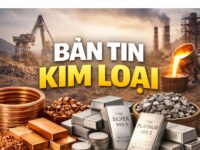 NHÓM KIM LOẠI ĐANG TRẢI QUA GIAI ĐOẠN “VÀNG” KHI CẢ NHU CẦU CÔNG NGHIỆP LẪN NHU CẦU TRÚ ẨN AN TOÀN ĐỒNG LOẠT GIA TĂNG TRONG BỐI CẢNH LẠM PHÁT VẪN DAI DẲNG