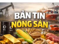 PHIÊN GIAO DỊCH SÁNG NAY CHỨNG KIẾN SỰ RUNG LẮC MẠNH CỦA NHÓM NÔNG SẢN SAU KHI BỘ NÔNG NGHIỆP MỸ CÔNG BỐ BÁO CÁO ƯỚC TÍNH CUNG CẦU NÔNG SẢN THẾ GIỚI. DÒNG TIỀN ĐANG CÓ SỰ CHUYỂN DỊCH RÕ RỆT GIỮA CÁC MẶT HÀNG DỰA TRÊN DỮ LIỆU TỒN KHO THỰC TẾ