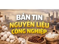 CÀ PHÊ ARABICA VẪN GIỮ ĐƯỢC SẮC XANH, GIÁ ĐƯỜNG GHI NHẬN MỨC GIẢM SÂU NHẤT TRONG PHIÊN DO TÁC ĐỘNG TRỰC TIẾP TỪ GIÁ DẦU BRENT