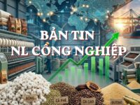 GIÁ ĐƯỜNG ĐANG CHỊU ẢNH HƯỞNG TRỰC TIẾP TỪ GIÁ DẦU WTI, CÀ PHÊ ARABICA ĐÃ PHÁ VỠ ĐƯỜNG TRENDLINE GIẢM GIÁ KÉO DÀI TỪ ĐẦU THÁNG
