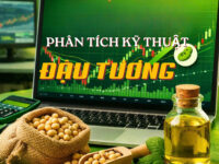 PHÂN TÍCH KỸ THUẬT DẦU ĐẬU TƯƠNG – ZLEN26