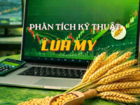 PHÂN TÍCH KỸ THUẬT LÚA MỲ – ZWAN26