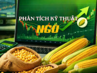PHÂN TÍCH KỸ THUẬT NGÔ- ZCEK26