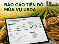 Báo Cáo Tiến Độ Mùa Vụ 07/07: Thị Trường Chuyển Trọng Tâm Sang Rủi Ro Thời Tiết!