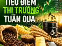TỔNG QUAN THỊ TRƯỜNG TUẦN 22-26/06/2026