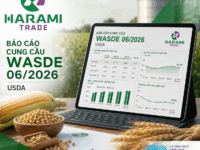 BÁO CÁO CUNG CẦU WASDE USDA THÁNG 6