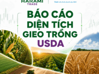 BÁO CÁO DIỆN TÍCH GIEO TRỒNG USDA