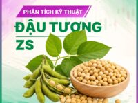 Phân tích Kỹ thuật Đậu tương ZSEX26 ngày 23/09/2026: Theo dõi hỗ trợ 1320 sau phản ứng tại 1330