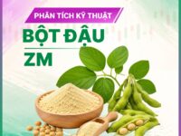 Phân tích Kỹ thuật Khô đậu tương ZMEZ26 ngày 22/09/2026: Lực mua duy trì ưu thế quanh vùng 368
