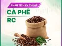 Phân tích Kỹ thuật cà phê Robusta – 05/08/2026