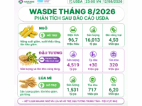 Báo cáo USDA WASDE tháng 8 | CÔNG BỐ 12/08/2026