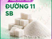 Phân tích Kỹ thuật Đường 11 – 27/08/2026