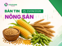 Bản tin thị trường Nông sản, ngày 23/9/2026