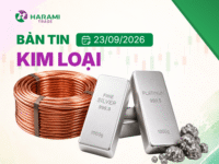 Bản tin thị trường Kim loại, ngày 23/9/2026