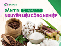 Bản tin thị trường Nguyên liệu công nghiệp, ngày 24/9/2026