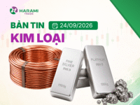 Bản tin thị trường Kim loại, ngày 24/9/2026
