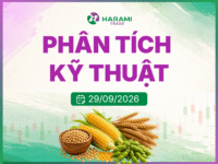 Phân tích Kỹ thuật Dầu đậu tương ZLEZ26, ngày 29/09/2026