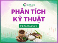 Phân tích Kỹ thuật Đường SBEH27, ngày 29/09/2026